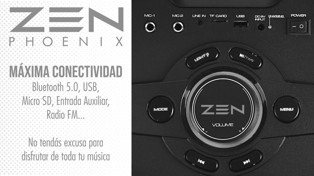 Altavoz Bluetooth 250W con microfono inalambrico ZEN Phoenix